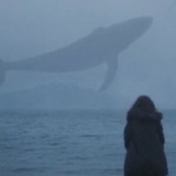 水见