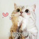 打倒金刚小葫芦