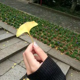 栗小笛