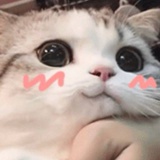 小