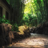 孟渝川