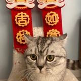 赏味期限是凌晨