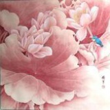 莲灿
