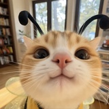 少来管捂捂怪