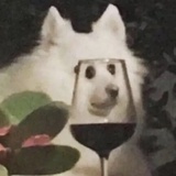 mokoi