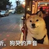 苏格