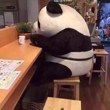 大头菜