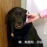 啊