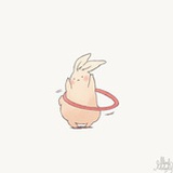 Rabbit ww