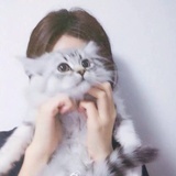 梦里青草香