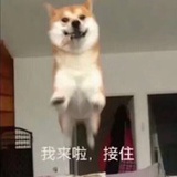 夏唏