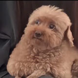 胡彦斌你让我哭