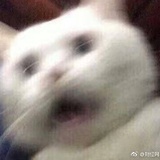 替身者