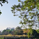月光石