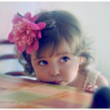 lily