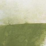 menthol