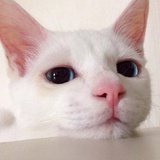 我以为