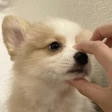 moom