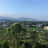 小木