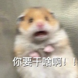 [已注销]