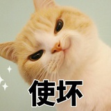 我不是烧饼
