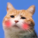 月半带鱼