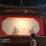 鹦鹉君
