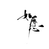 贰叁