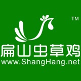 生态土鸡养殖