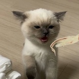 控制狂