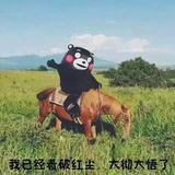 野猪佩琦