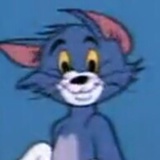 汤姆猫