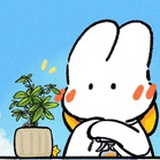 智momo