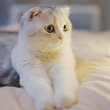 潮汕人啦～