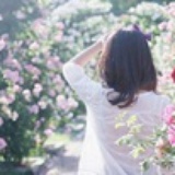 青羽繁花