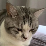 狂拽一姐小渡边