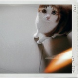 Memory.
