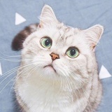 、青簪敲竹