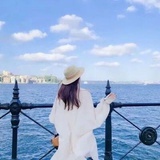 清风自来