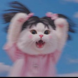 我有猫