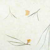 周青崖