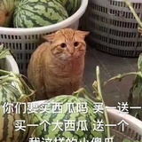 那不勒斯开拉力