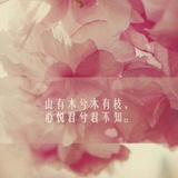 骆子衿