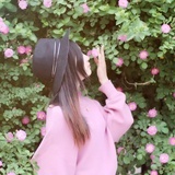 木子淘