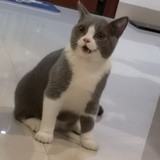哟呵真是妙