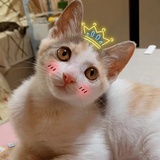 去抓水母吧