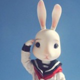 广寒宫主大白兔