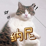 章鱼小混子