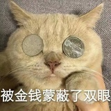 上下三届一学渣