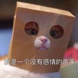 思大琳